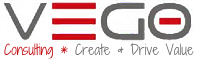 Vego — Consulting, Create & Drive Value